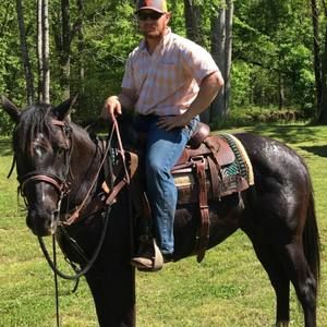 Meet your Posher, Wade